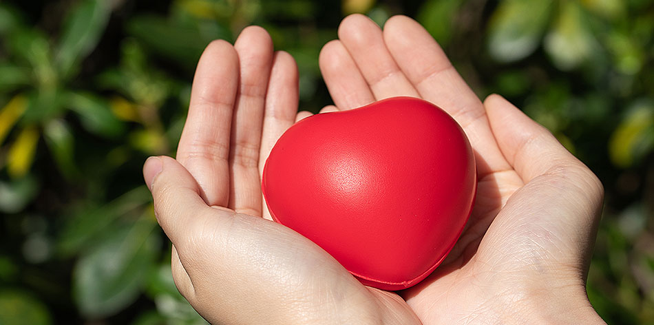 合乐HL8(中国区)官网登录入口